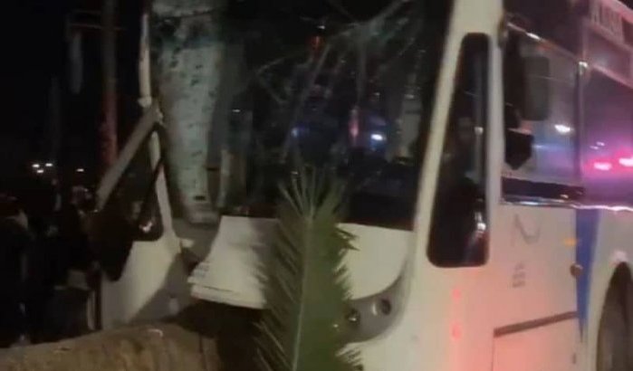 Bus rijdt tegen palmboom in Agadir, 59 gewonden