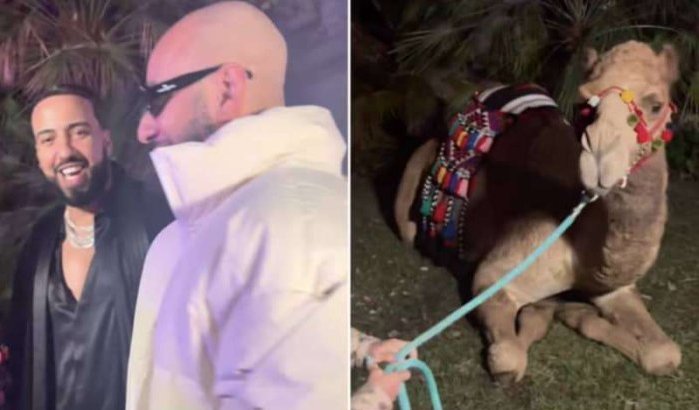 French Montana krijgt ongewoon cadeau voor verjaardag (video)