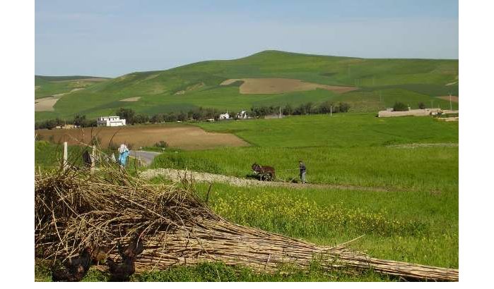 Marokko besteedt 4,4 miljard dirham aan platteland