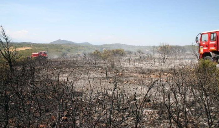 Ruim 12 hectare bos door brand verwoest in Al Hoceima
