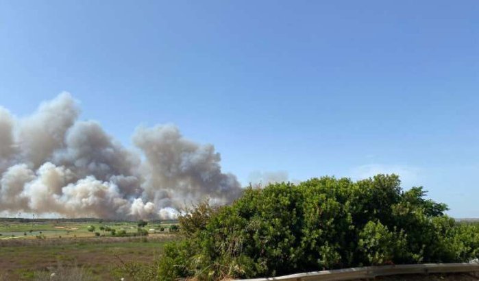 Tanger: grote brand in "Diplomatiek bos" (video)