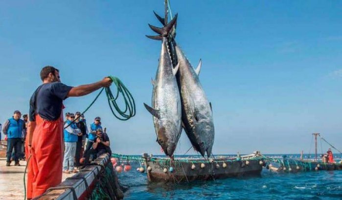 Marokko en EU evalueren visserijovereenkomst