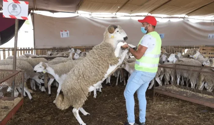 Datum Eid ul-Adha 2024 in Marokko bekend