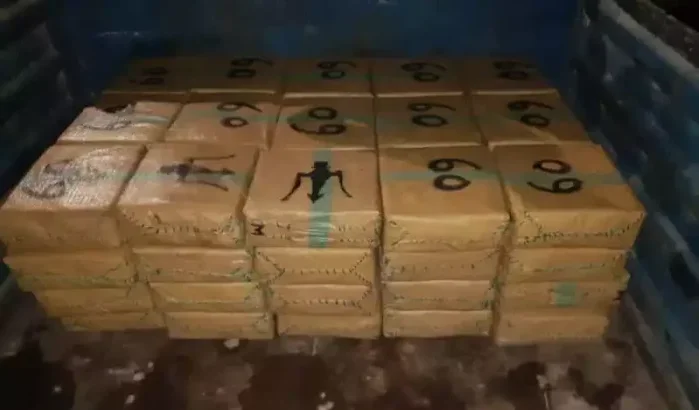 Politie en douane verijdelen grote drugssmokkeloperatie in Tanger
