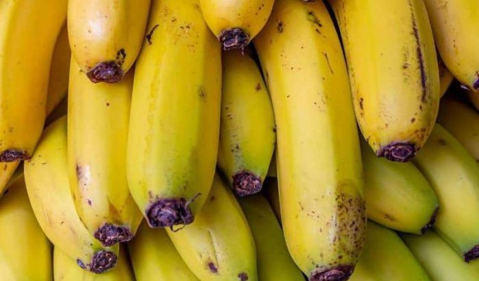 Geruchten over slechte kwaliteit in Marokko verkochte bananen