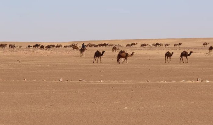 Mauritaniërs gedood bij Marokkaanse aanval in Sahara