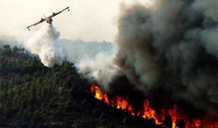 Bosbrand vernielt 95 hectare bos in Chefchaouen