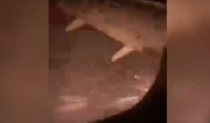 Toestel Royal Air Maroc maakt noodlanding in Oujda (video)