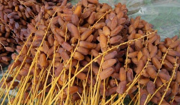 Marrakech: tonnen 'gevaarlijke' dadels in beslag genomen