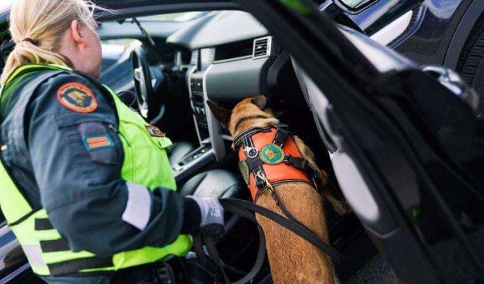 Interpol leidt grote operatie tegen wapensmokkel in Marokko
