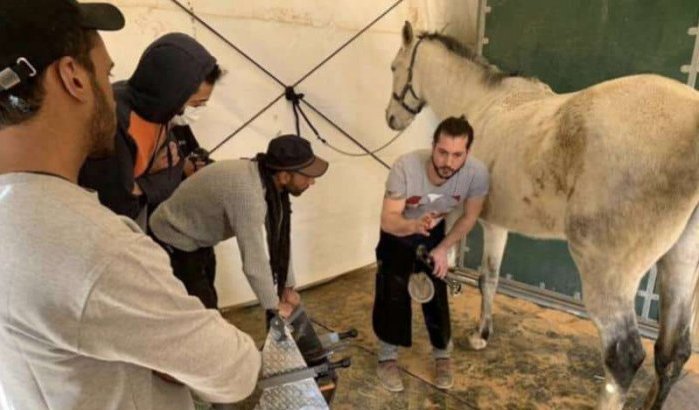 Fransman gaat paarden Marokkaanse Koninklijke Garde verzorgen