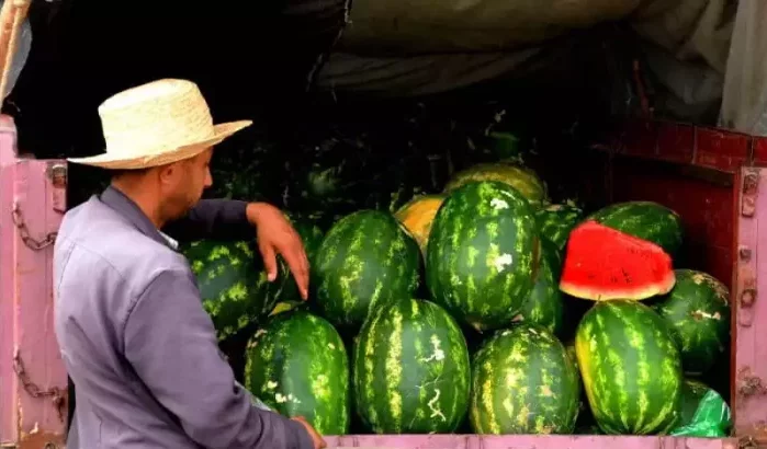 Watermeloen vs droogte: Marokko's dilemma