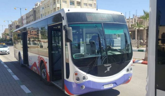 Nieuwe bussen in Meknes (foto's)
