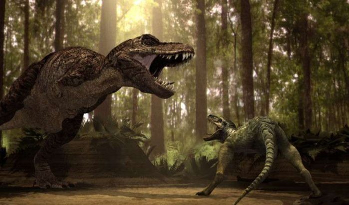 Laatste dinosaurus van Afrika in Marokko ontdekt