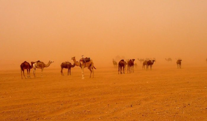 Hittewaarschuwing in Marokko (+45 graden)