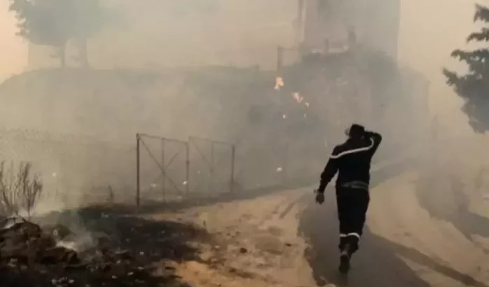 Bosbranden in Algerije: de reactie van Marokko