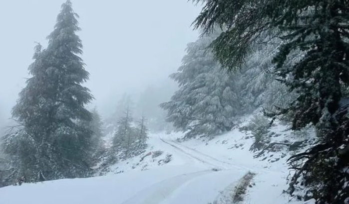 Al Hoceima onder sneeuw (foto's)