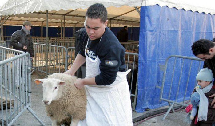 Offeren schaap steeds moeilijker voor moslims in Nederland