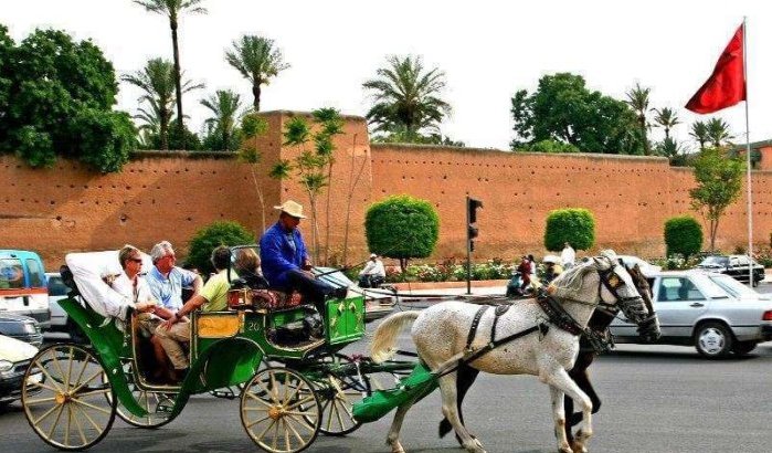 Marokko: nieuwe look voor koetsiers Marrakech