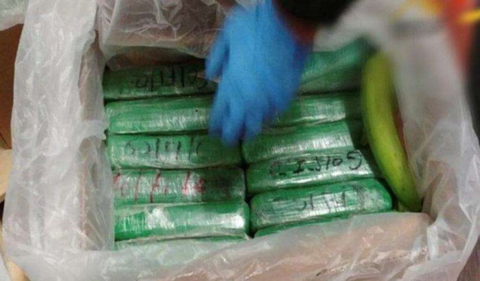  Wereld-Marokkaan met 10 kilo cocaïne gepakt in Nador