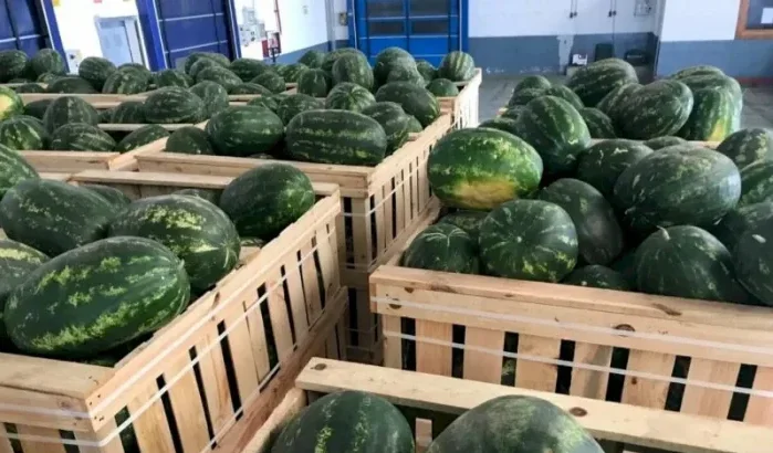 Export watermeloenen naar EU, Marokko verliest