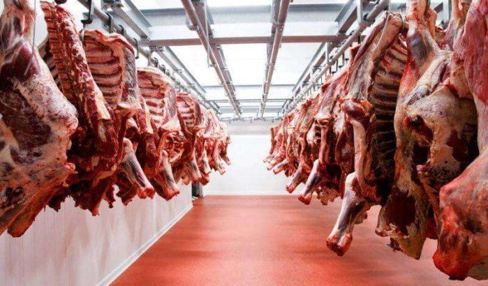 Marokko: slachthuizen schandalig vuil