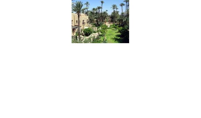Palmentuin Marrakech bedreigd