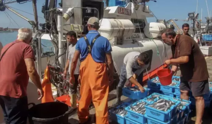 EU bevestigt einde visserijovereenkomst met Marokko