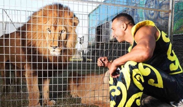 Marokkaan vertrekt naar andere kant van de wereld om met circusleeuwen te werken (foto's)