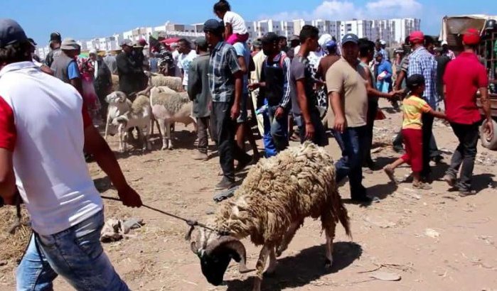 Marokkaanse regering: "Blijf thuis tijdens Eid ul-Adha