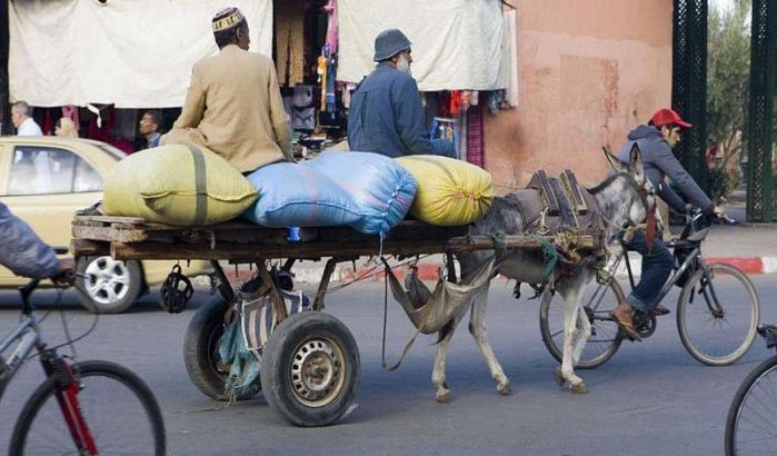 Politieman dood na aanrijding met koets in Marrakech