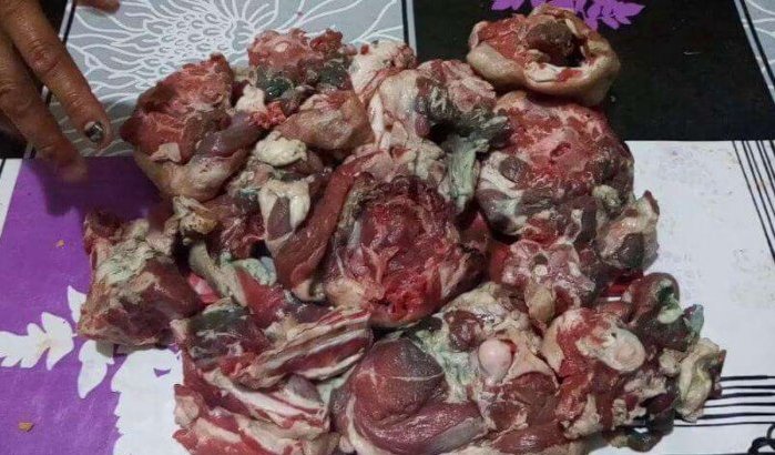 Marokko/Eid ul-Adha: honderden dieren onderzocht na klachten verkleuring vlees