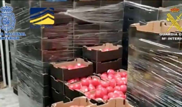 Marokkaanse hasj in beslag genomen in tomaten in Spanje