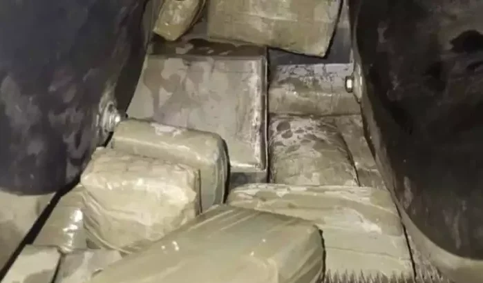 Spanjaard met ton drugs betrapt in Tanger Med
