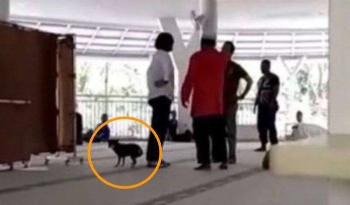 Vrouw in Indonesië voor de rechter na moskee met hond te zijn binnengelopen