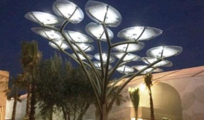 Zonnebomen in Marrakech om telefoons op te laden