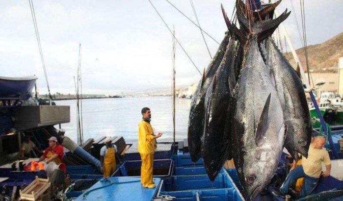 Polisario bedreigt Europese vissersboten voor kust Dakhla