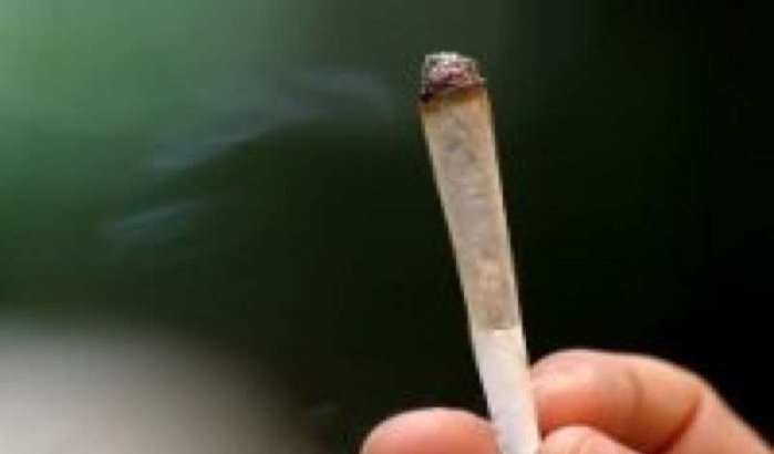 Marokko is hasj paradijs volgens Algerije