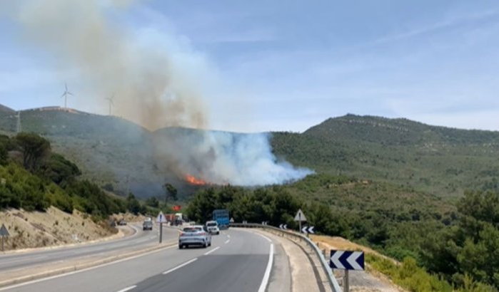 Verwoestende bosbrand woedt bij Tetouan 