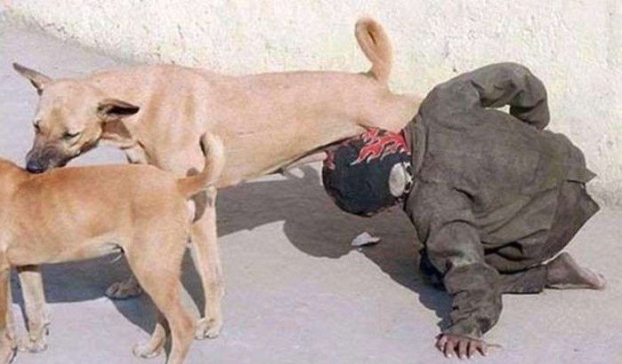 Neen, deze foto werd niet in Marokko gemaakt! (Foto's)