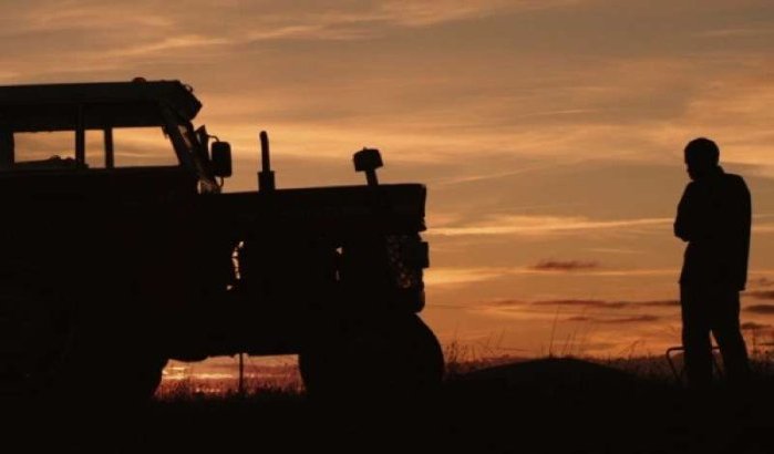 El Rayo, Marokkaan remigreert met tractor