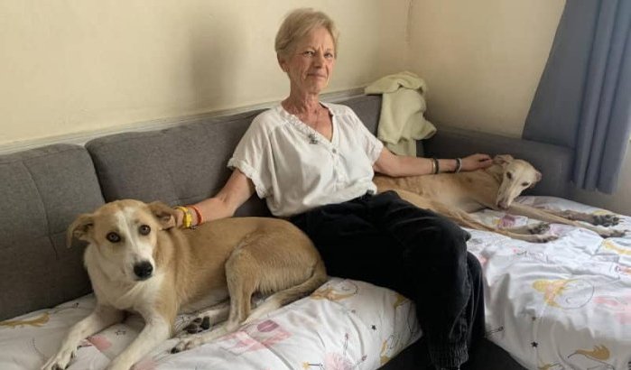 Française veranderde lot van Marokkaanse zwerfhond