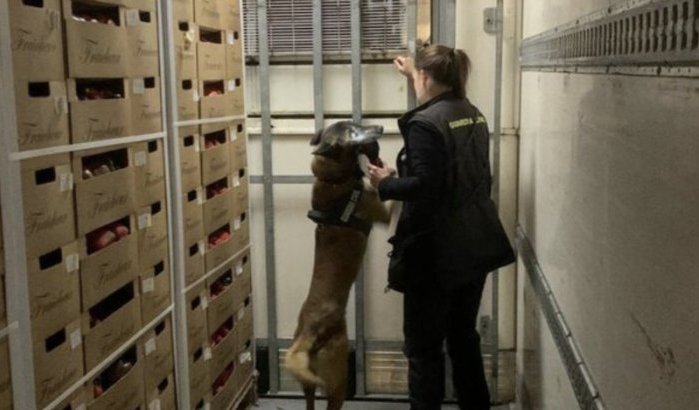Hond detecteert 300 kilo Marokkaanse hasj in haven Motril