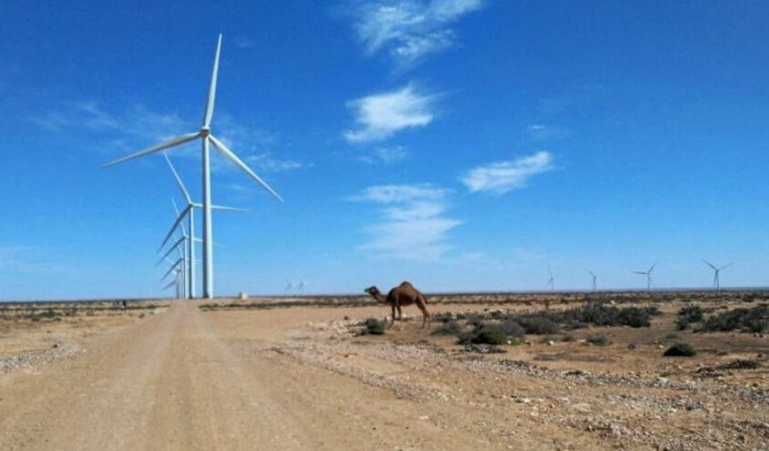 Marokko krijgt eerste Afrikaanse waterstofcentrale