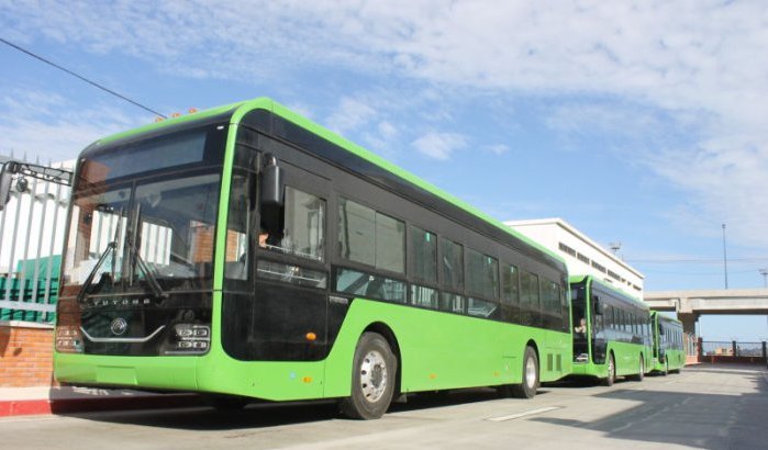 Grootste busdeal ooit in Afrika: China levert honderden bussen aan Marokko