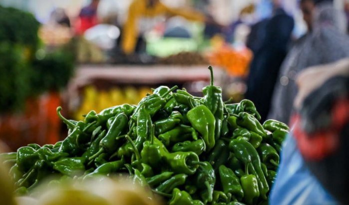 Marokko verdrievoudigt paprika-export naar Spanje 
