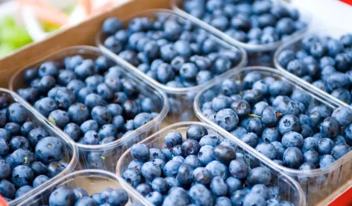Marokko grootmacht in blauwe bessen geworden
