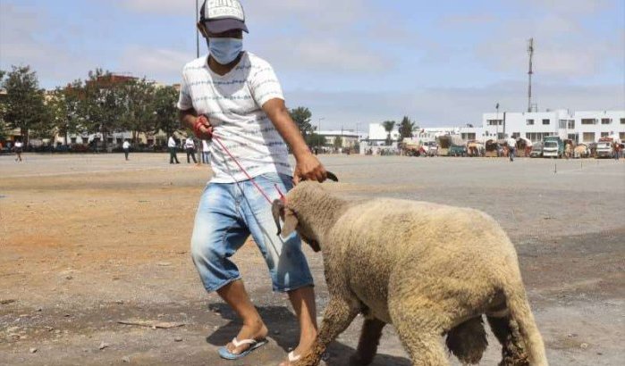 Marokko: minister verdedigt reisverbod Eid ul-Adha