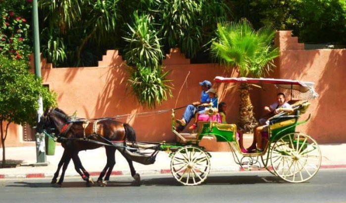 Marrakesh zonder paardenkoets is geen Marrakesh