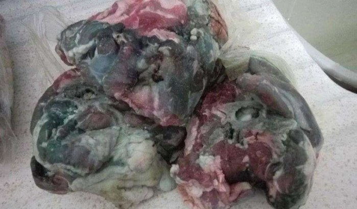Offerfeest Marokko: opnieuw gevallen van blauw vlees (video)